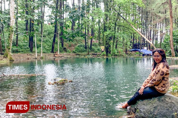Pesona Eksotis Sumber Nogo dan Hutan Pinus yang Menghipnotis Mata