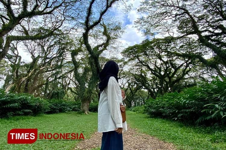 3 Destinasi Wisata Instagramable di Banyuwangi Selatan untuk Liburan Lebaran