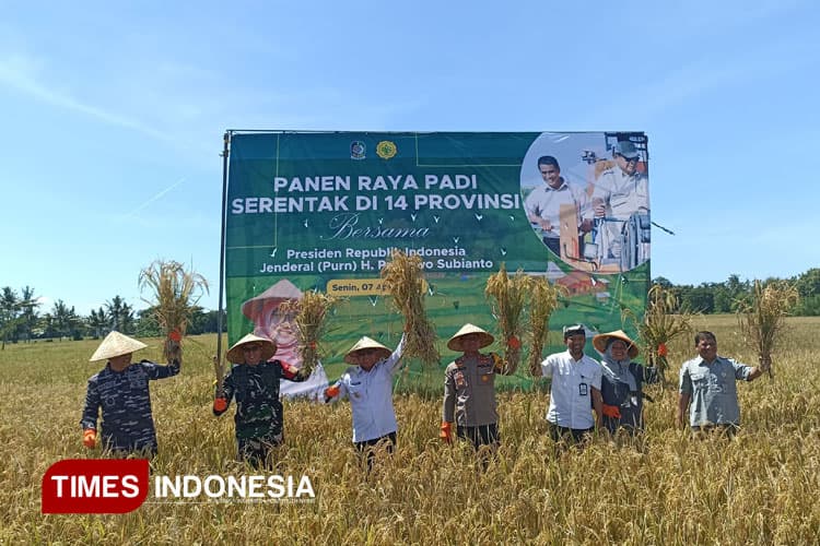 Panen Raya Padi Serentak di 14 Provinsi, Produksi GKG Banyuwangi Capai 2.385 Ton