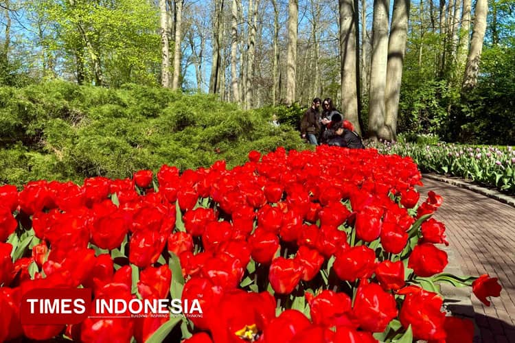 Keukenhof, Taman Musim Semi yang Membawa Napas Panjang Peradaban