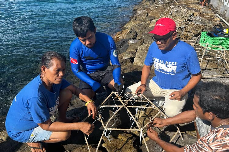 Komunitas BERGUNA Rehabilitasi Dua Lokasi Terumbu Karang di Flores Timur