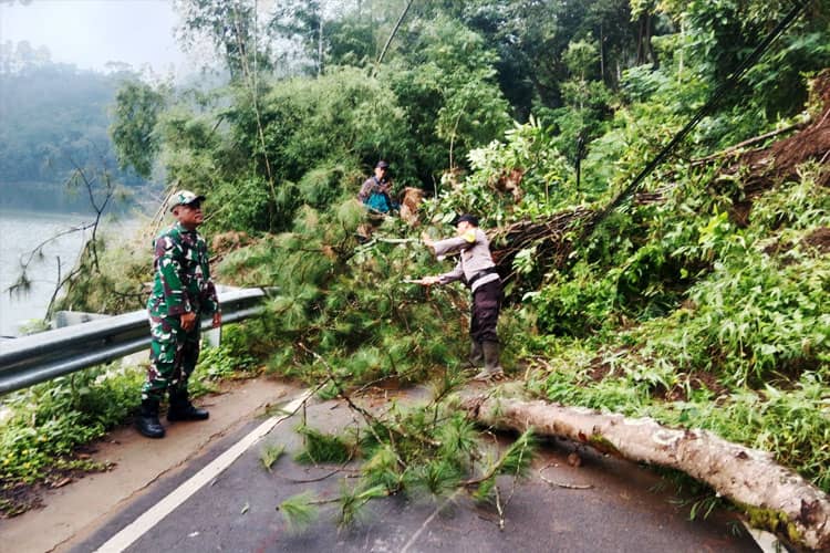 Sinergi TNI-Polri dan Warga Bersihkan Longsor di Jalan Wisata Telaga Ngebel Ponorogo