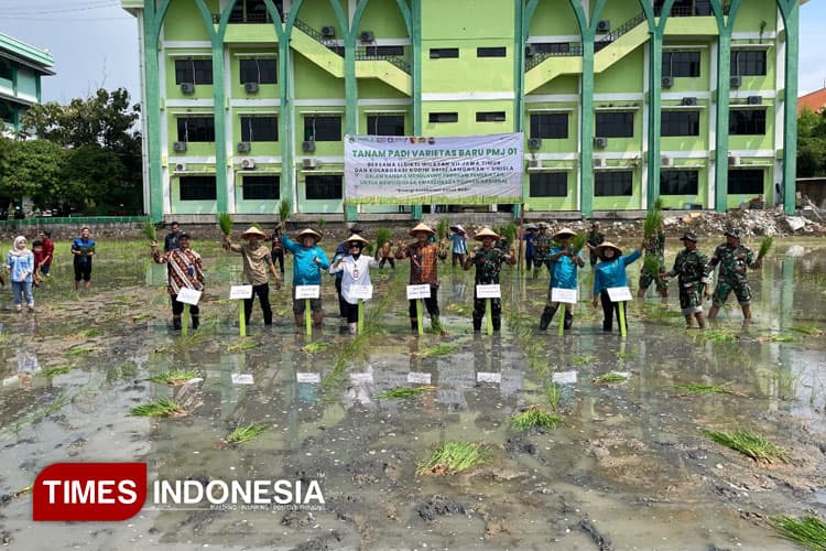 Wujudkan Swasembada Pangan, Unisla dan Kodim 0812 Lamongan Tanam PMJ 01
