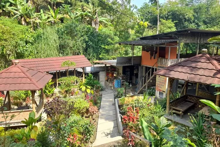 Relax and Rejuvenate: Exploring Wonosobo’s Natural Hot Springs