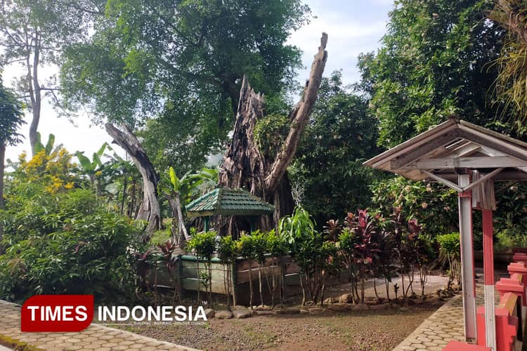 Grebeg Tumpeng dan Khaul Mbah Patra Manggala, Warisan Luhur dari Desa Batuagung Tegal