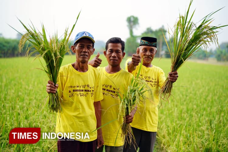 Wujudkan Transformasi Pertanian Berkelanjutan, Pupuk Kaltim Raih Penghargaan AREA 2025