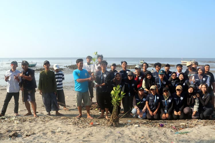 Mahasiswa FPIK UB dan Warga Watuprapat Pasuruan Tanam Bibit Mangrove untuk Rehabilitasi Pesisir