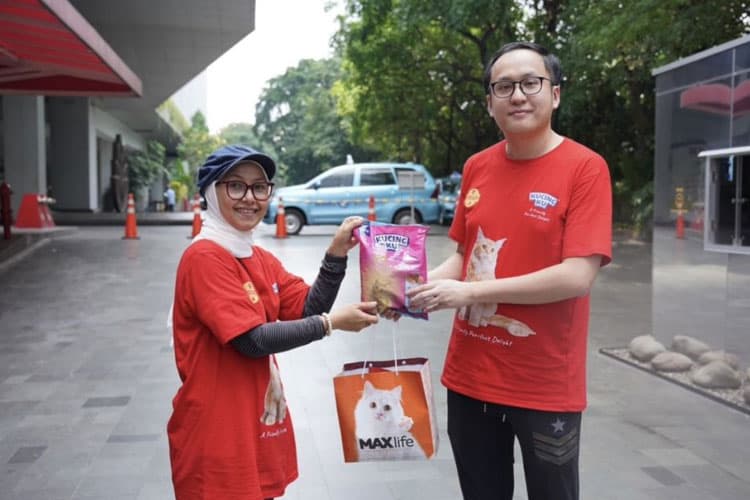 Kucingku Rayakan Cat International Day Lewat Aksi Peduli Kucing Jalanan