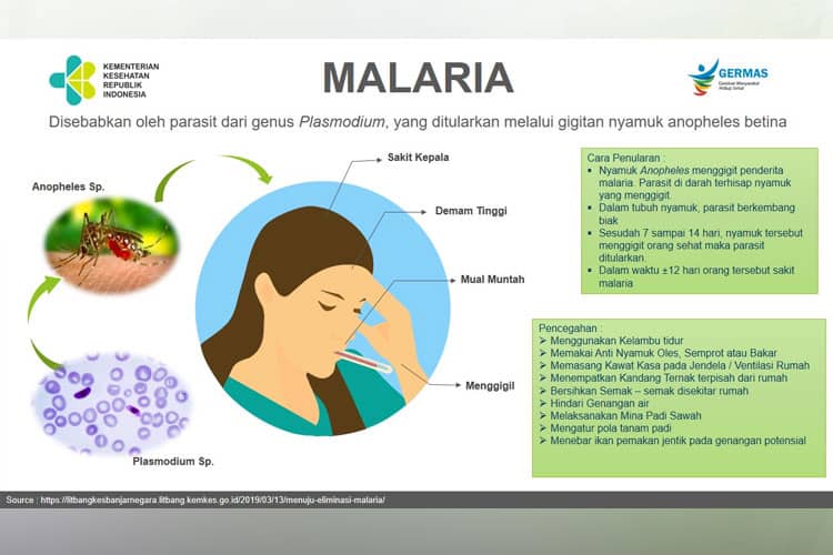 Ancaman Malaria Masih Mengintai, Pemkot Yogyakarta Minta Warga Tetap Waspada Meski Bukan Daerah Endemis