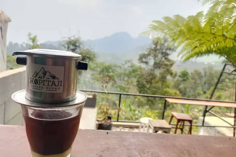 Kopi Taji, Wisata Edukasi Kopi dari Lereng Bromo