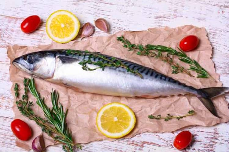 5 Ikan Laut Bergizi Tinggi Cocok untuk MBG