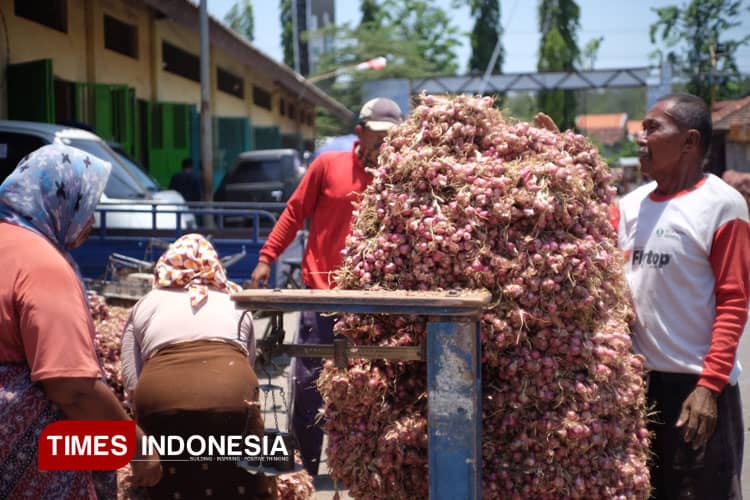 Harga Bawang Merah Probolinggo Stabil, Kualitas Super Banjir Pesanan