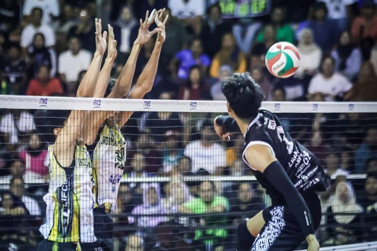 Final Four Livoli Divisi Utama 2025, LavAni Navy Amankan Tiket Grand Final Usai Libas Indomaret 3-0