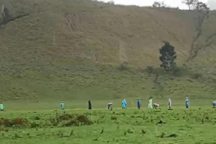 Viral, Padang Savana Kawah Wurung Bondowoso Ditanam Alpukat