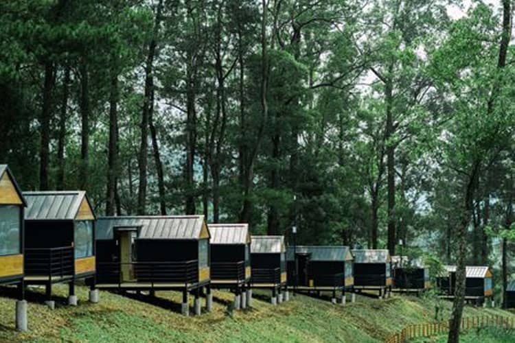 Rekomendasi Glamping Ramah Keluarga di Malang untuk Libur Tahun Baru
