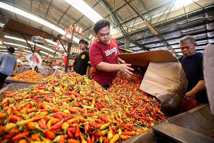 Awal 2026, Harga Cabai Rawit Merah Naik ke Rp70.500 per Kg