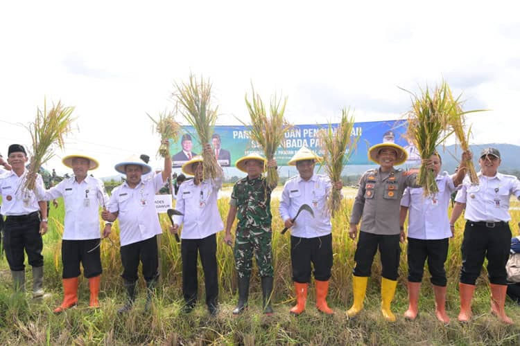 Surplus 45 Ribu Ton Beras, Banjarnegara Berkomitmen Sangga Ketahanan Pangan Nasional