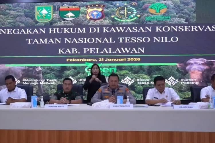 Polisi Bongkar Praktik Penguasaan Lahan Ilegal TN Tesso Nilo: Sawit Berumur hingga 16 Tahun Ditanam di Kawasan Lindung