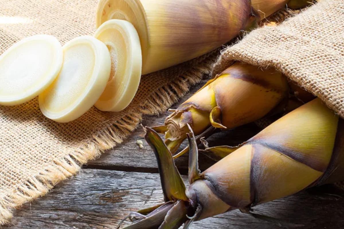 Ilmuwan Inggris Sebut Rebung sebagai Superfood