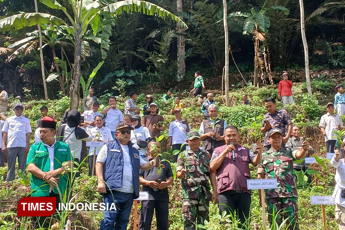 Krisis Hutan di Wonosobo Kian Mengkhawatirkan, Jatubu Siapkan Aksi