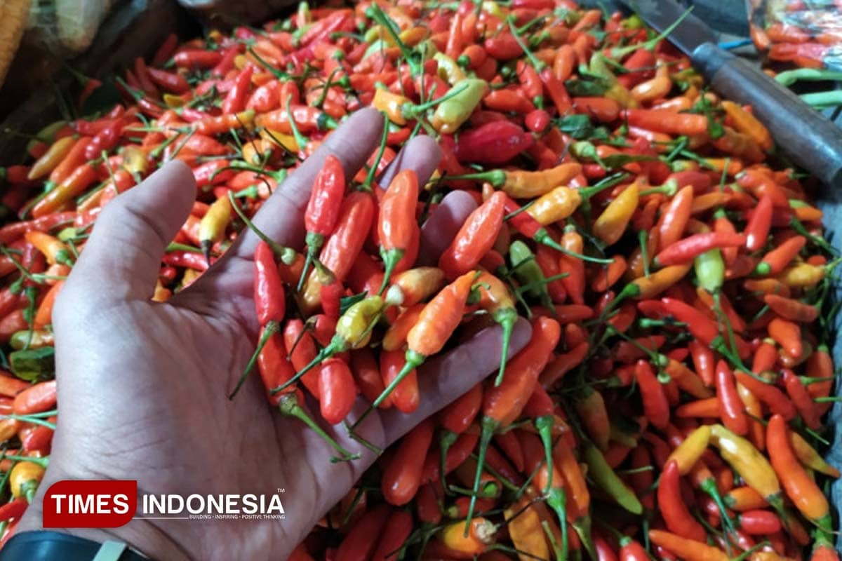 Kementan Pasok 1,7 Ton Cabai Rawit Merah ke PIKJ untuk Kendalikan Harga Saat Ramadan