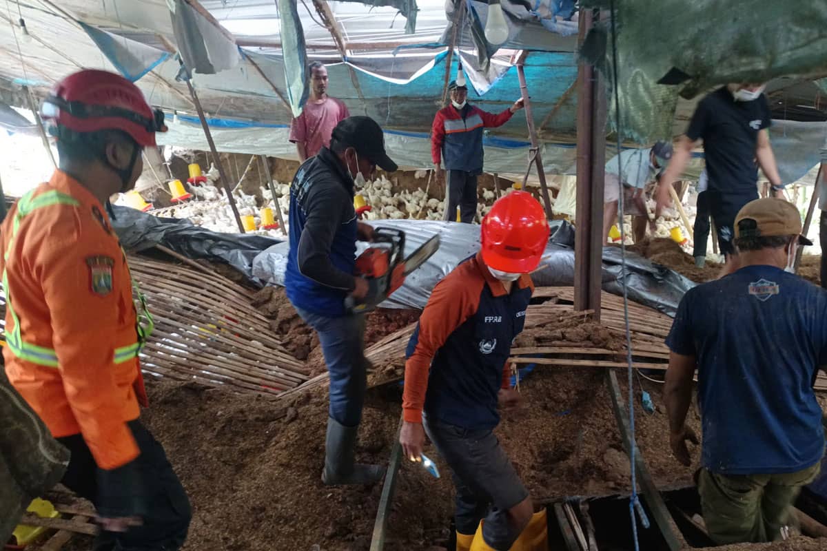 Lima Pekerja Tertimpa Kandang Ambruk di Wonosari, Satu Orang Meninggal