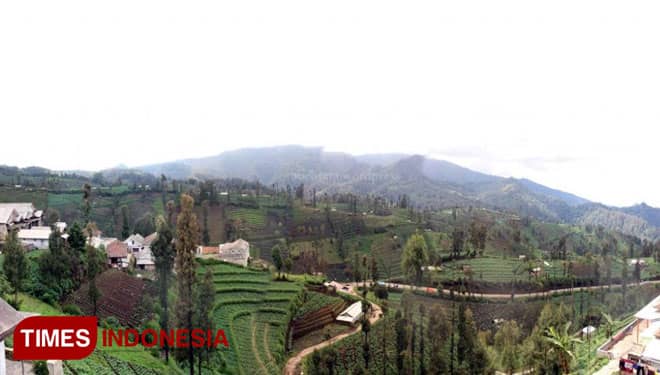 Ngadas, Desa di Atas Awan dengan Hamparan Keindahan Terasering