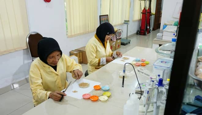 Pengusaha Wajib Uji Beras Sebelum Mendapatkan Izin Edar