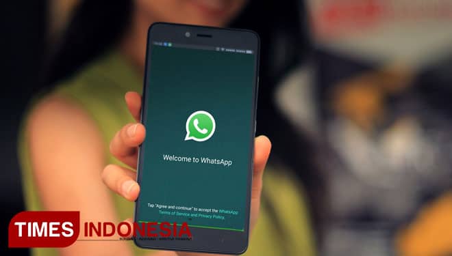WhatsApp Merilis Fitur Video Call Group, Bagaimana Cara Menggunakannya?