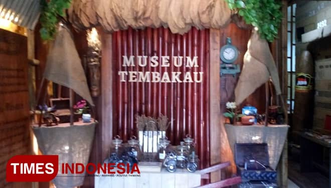 Museum Tembakau Jember, Etalase Tembakau Indonesia