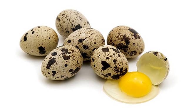 Manfaat Telur Puyuh Ini Wajib Anda Tahu