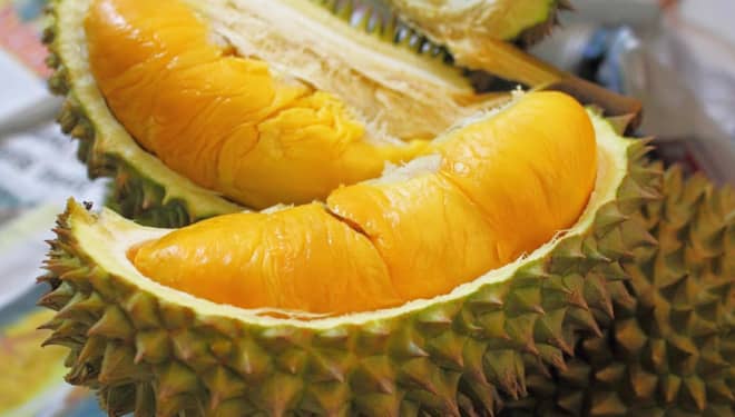 Ingin Menikmati Durian Merah? Yuk Berkunjung ke Istana Durian di Lumbang