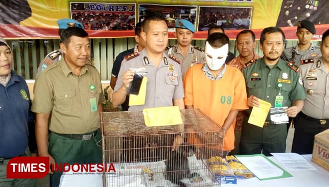 Polres Jember Ungkap Jual Beli Lutung Jawa, Ini Penampakannya