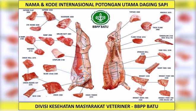 BBPP Batu Bagi Tips Handling Daging Kurban yang Tepat