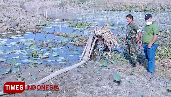 Air Waduk dan Rawa di Lamongan Hanya Tersisa Tiga Persen
