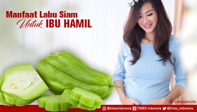 Memiliki Rasa yang Manis, Ini Manfaat Labu Siam untuk Ibu Hamil