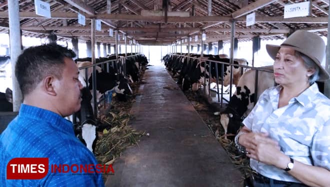 Dairy Farm Margo Utomo Berbagi Pengalaman dengan BBPP Batu