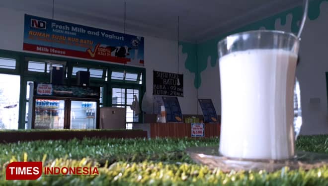 Rumah Susu KUD Batu Hadirkan Kenikmatan Susu Sapi Segar