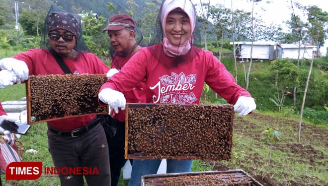 Petualangan Tawon, Wisata Lebah Pegunungan di Kota Wisata Batu