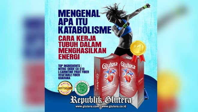 Mengenal Katabolisme, Proses Tubuh Mendapatkan Energi
