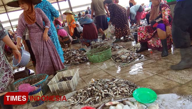 Pasokan Menurun, Harga Ikan di Pasar Ikan Lamongan Melambung