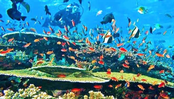 Libur Panjang di Labuan Bajo? Jangan Lupakan 4 Hal Ini