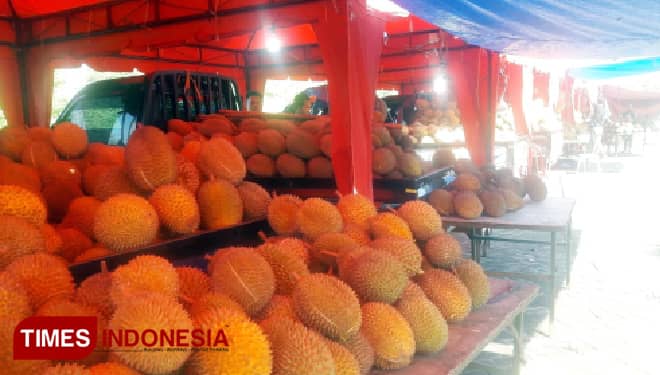 Puluhan Ribu Durian Siap Manjakan Pengunjung di Mendem Duren Gresik
