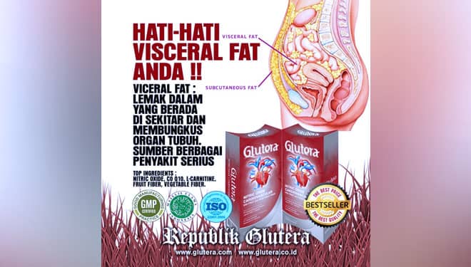 Awas! Ini Bahaya Lemak Visceral pada Kesehatan Tubuh
