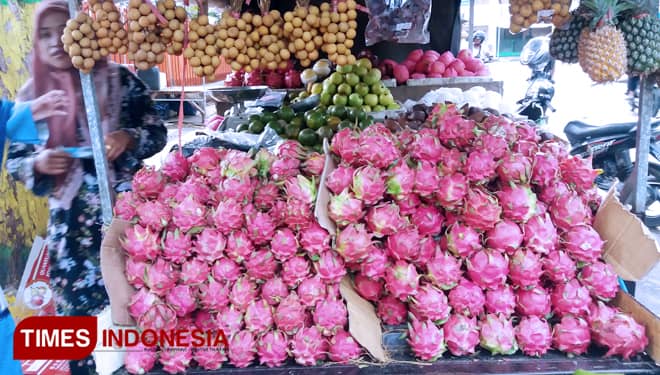 Harga Buah Naga di Pamekasan Mulai Merangkak Naik