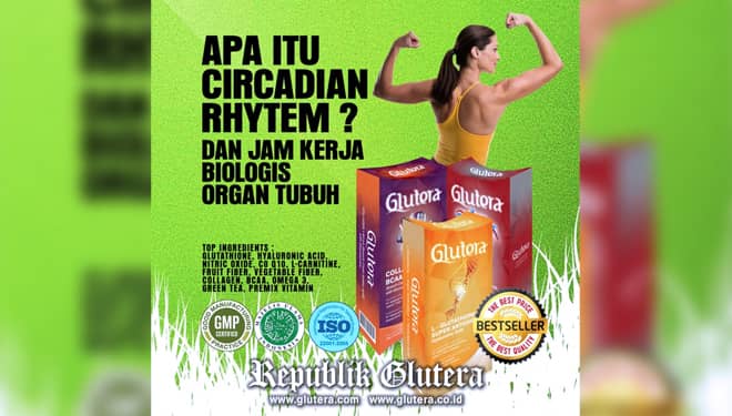 Ritme Sirkadian dan Jam Kerja Biologis Organ Tubuh Manusia