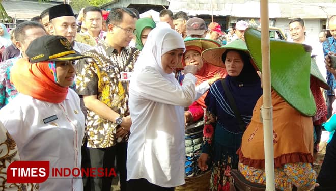 Sambangi Pasar Ikan Lamongan, ini Kata Gubernur Jatim Terkait Harga Ikan Tambak