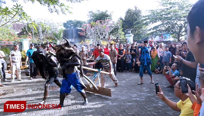Mengenal Tradisi Tertua "Kebo-Keboan Watukebo" Banyuwangi