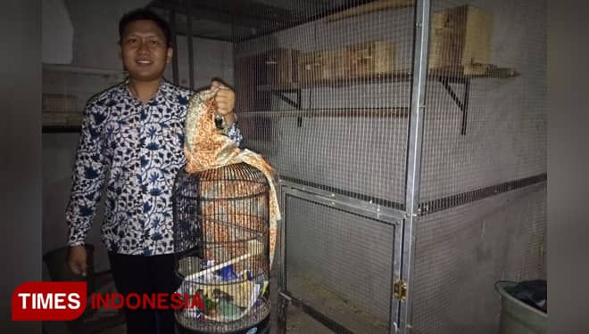 Harga Jual Lovebird Anjlok, Satu Ekor Harga Rp 60 Ribu di Tulungagung