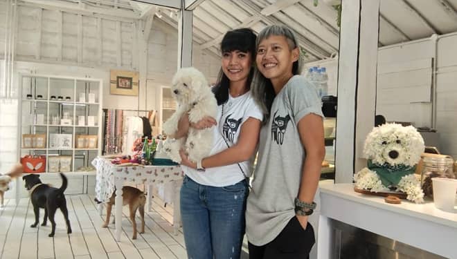 Dog Grocer Cafe, a Pet Shop in Bali Where Your Pets are Treated as a Family